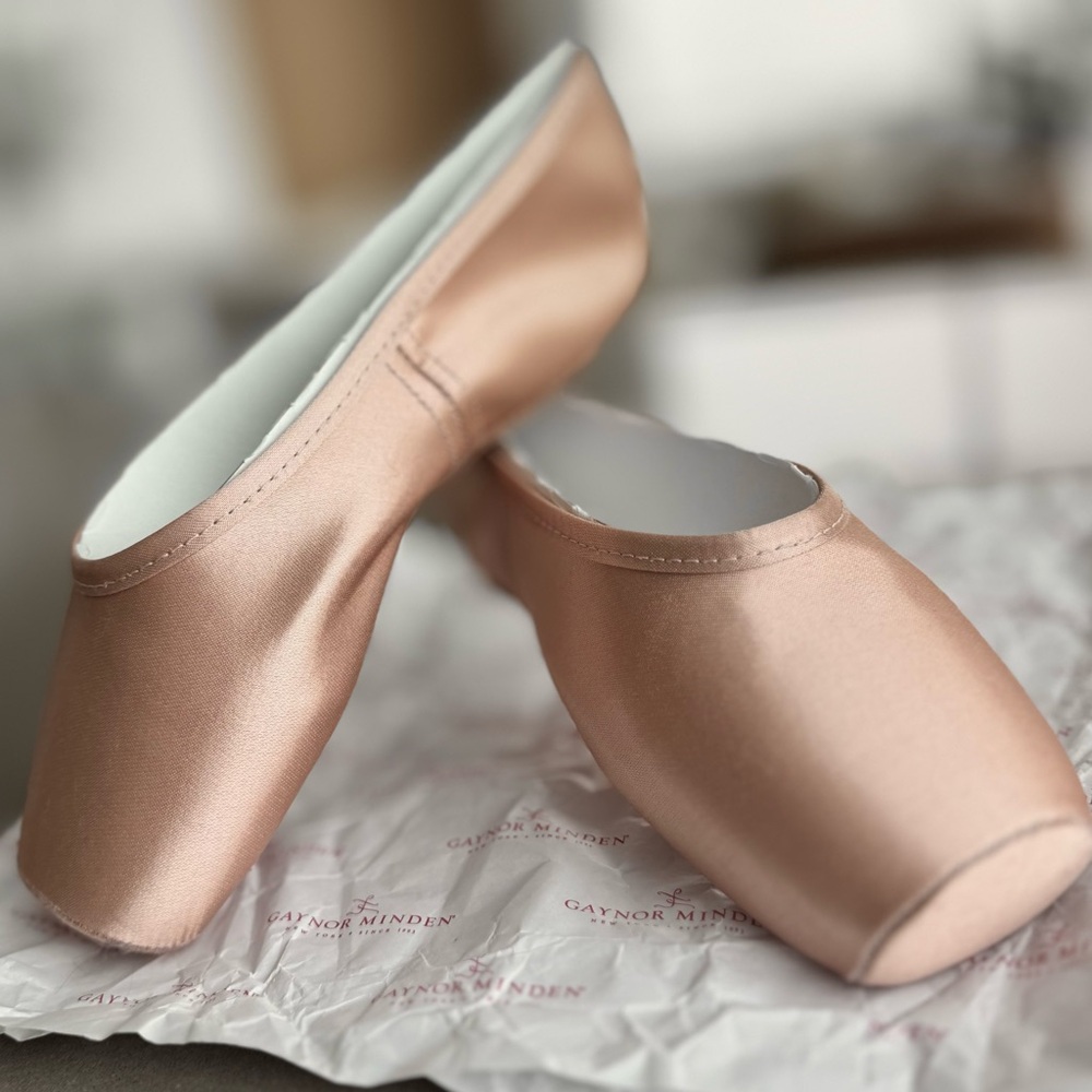 NWT! - Gaynor Minden Pointe Shoes